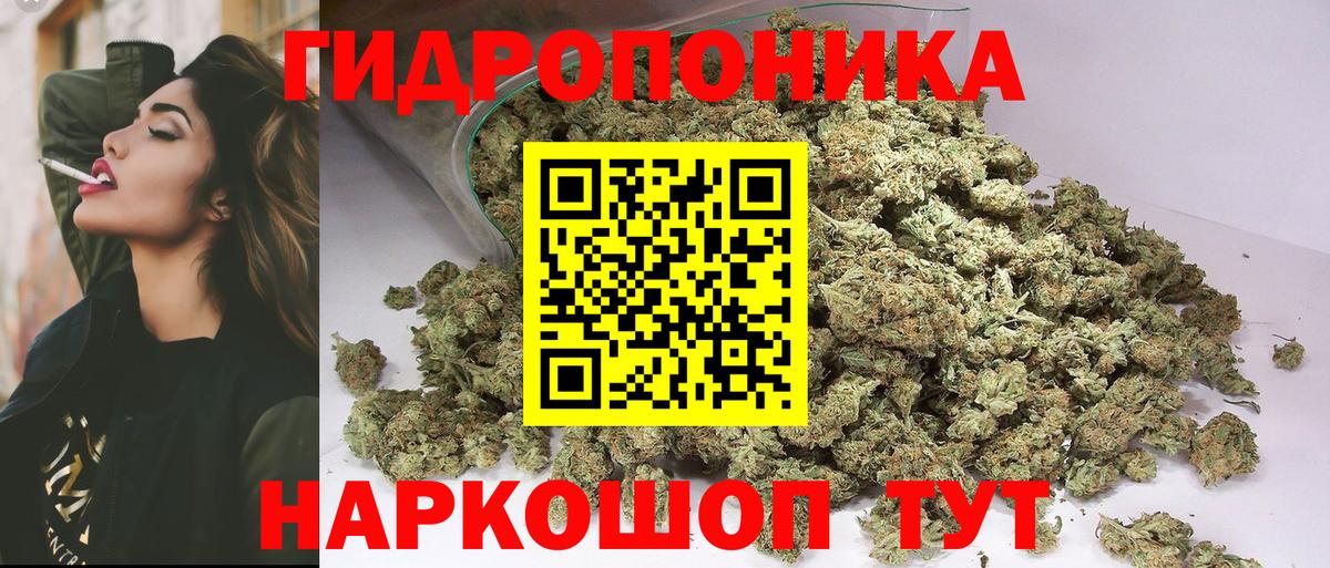 Ступино  Конопля SATIVA & INDICA  Бошки Шишки семена  Вход с VPN  Канабис OG Kush 